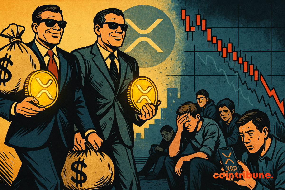 XRP: 300 % of profits for investors but accumulate turnover point